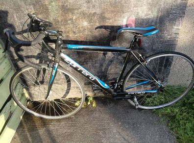 carrera road bike