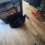 Cybex Car Seat & Isofix Base Image 3