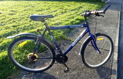 Classic Mountain Bicycle