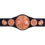WWE Adult Tag Team Championship Replica Title Belt (Brand New) Image 4