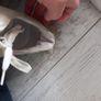 Nero Giardini Trainers Image 5