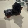 lego dog Image 2