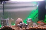 aquarium with all the equipment