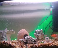 aquarium with all the equipment