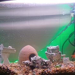 aquarium with all the equipment