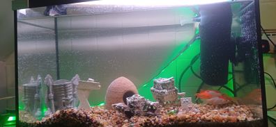 aquarium with all the equipment