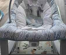 baby bouncer