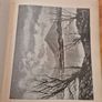 Vintage 1944 The Irish scene 1st edition Art Book Image 8
