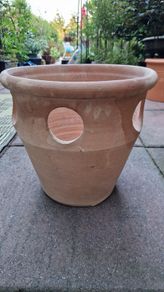 Pot