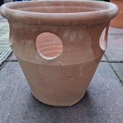 Pot
