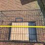 dog container Image 2