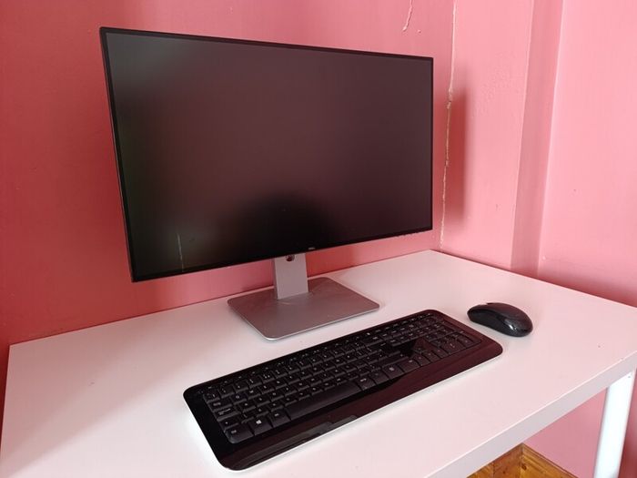 Kit. Dell 22" monitor. Microsoft keyboard and mouse