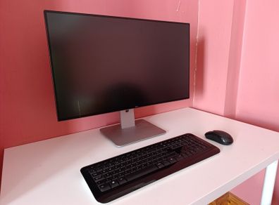 Kit. Dell 22" monitor. Microsoft keyboard and mouse