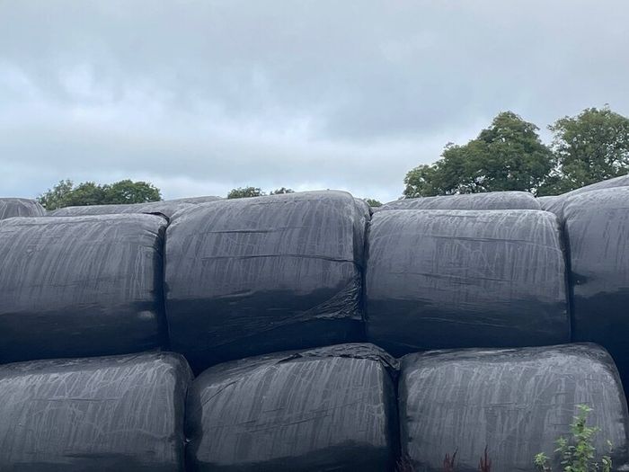 Silage Bales