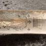 Antique Collectors items from 1800s Image 7