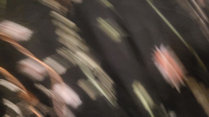 Black ladies dress brand no no tags