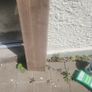 wood off cuts MDF moisture Image 4