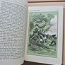 The Last of the Mohicans by James Fenimore Cooper 1984 Reader's Digest Hardcover Image 5