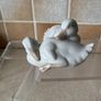 Donegal China Dog & Neo Porcelain Ducklings Image 2