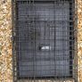 Dogs Cage Image 7
