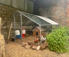 Chicken Coop with 50L auto watering and feeding