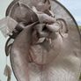 Metallic Blush Disc Shape Fascinator Image 9