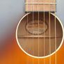 Recording King Dirty 30 LH RPS-7 Parlor Guitar Image 5