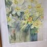 Watercolourist Karen Armitage limited edition print of daffodil Image 2