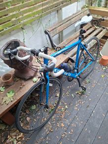Carrera Road Bike