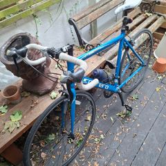 Carrera Road Bike
