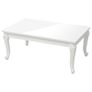 Coffee Table High Gloss White 100x50x42 cm Image 2