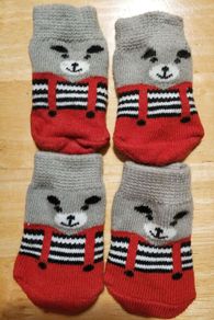 Socks for small dog