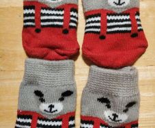 Socks for small dog