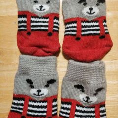 Socks for small dog