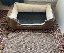 AniOne Dog Bed