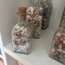 Sea shells in bottles Image 6