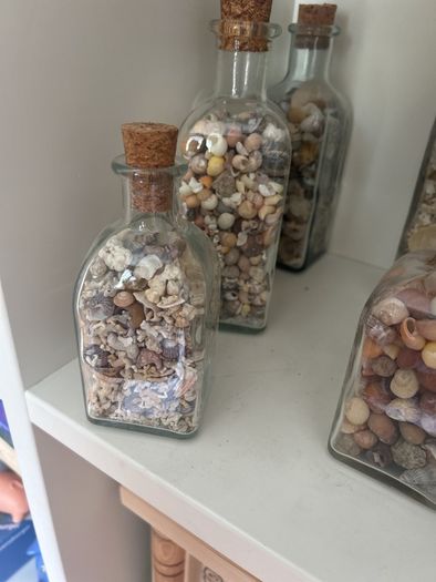 Sea shells in bottles