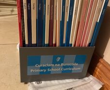 1999 Primary School Curriculum Books
