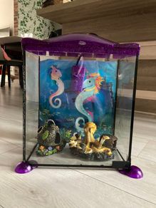 Fish Tank with Water Filtration Mini Aquarium