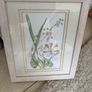 Pictures Large  - Framed Botanic Gardens Glasnevin Large Prints Image 3