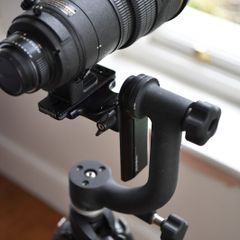 Wimberley WH-200 Gimbal Tripod Head II
