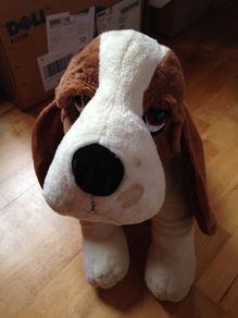 Stuffed dog