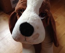 Stuffed dog