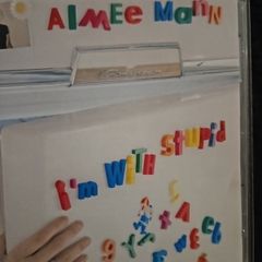 Almee Mann. I'm With Stupid.