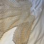 Stunning girls Zara statement Confirmation dress cream 11 12 Image 6