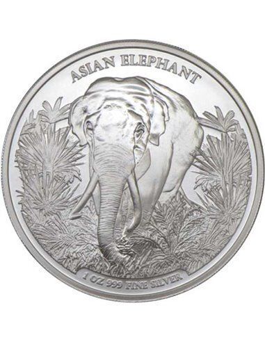 2023 Cambodia 3000 Riels 1 oz Silver Bullion Coin - ASIAN ELEPHANT BU (In Capsule)