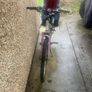 adult bike Image 5