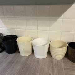 6 Plant Pots