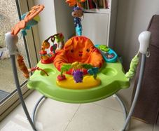 Fisher Price Jumperoo