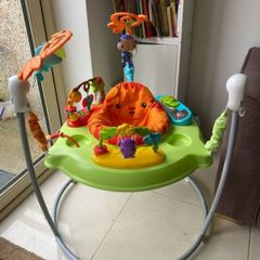 Fisher Price Jumperoo
